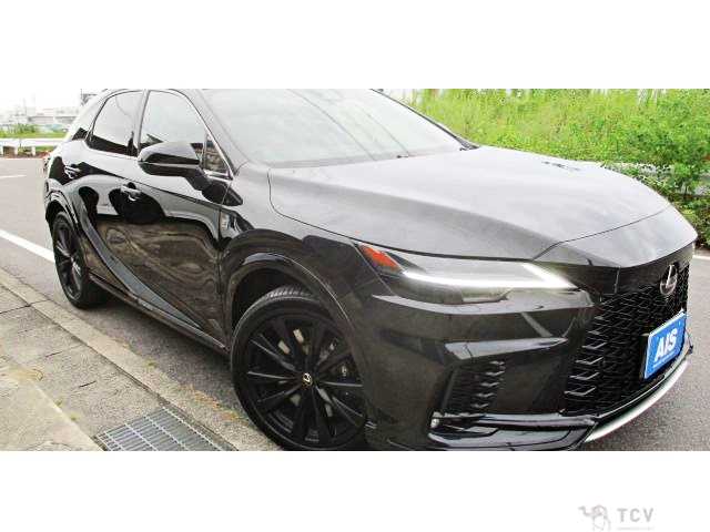 2025 Lexus RX