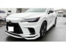 2025 Lexus RX