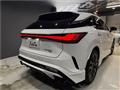 2025 Lexus RX