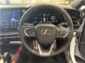 2025 Lexus RX