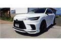 2025 Lexus RX