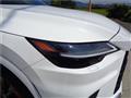 2025 Lexus RX
