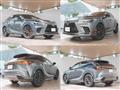 2025 Lexus RX