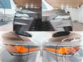 2025 Lexus RX