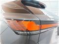 2025 Lexus RX