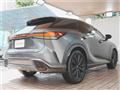 2025 Lexus RX