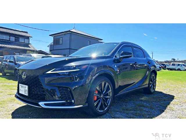 2025 Lexus RX
