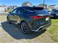 2025 Lexus RX