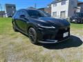 2025 Lexus RX
