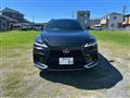 2025 Lexus RX