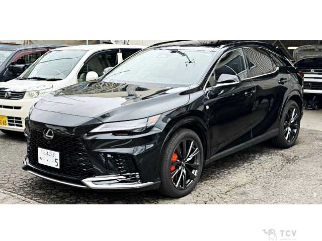 2025 Lexus RX