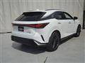 2025 Lexus RX
