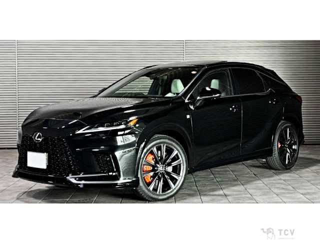 2025 Lexus RX