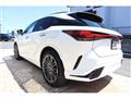 2025 Lexus RX