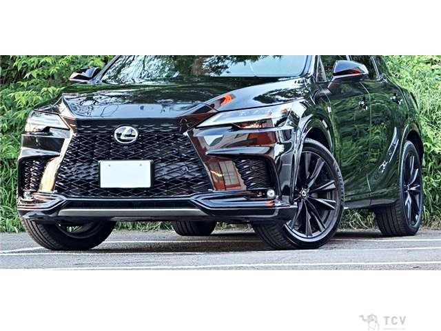 2025 Lexus RX