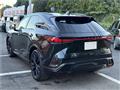 2025 Lexus RX
