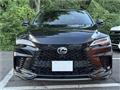 2025 Lexus RX