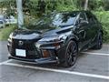 2025 Lexus RX