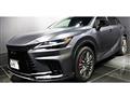 2025 Lexus RX