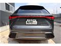 2025 Lexus RX