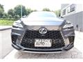 2025 Lexus RX