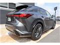 2025 Lexus RX
