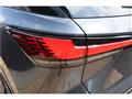 2025 Lexus RX