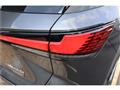 2025 Lexus RX