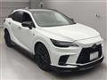 2025 Lexus RX