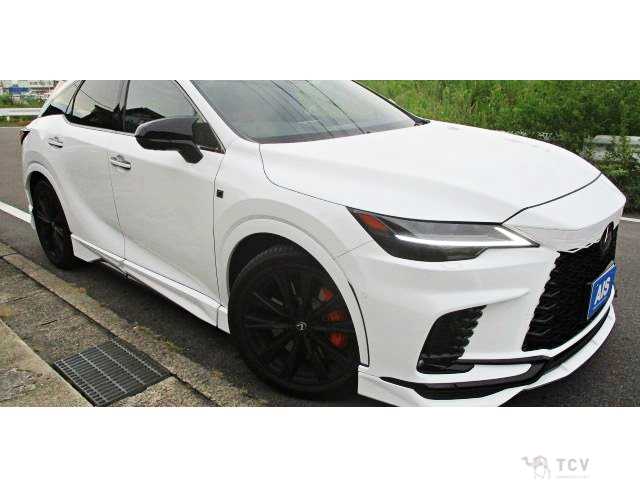 2025 Lexus RX