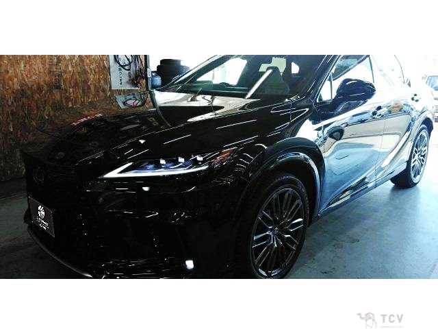 2025 Lexus RX