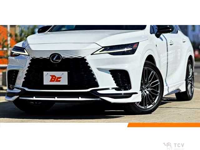 2025 Lexus RX