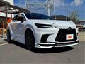 2025 Lexus RX
