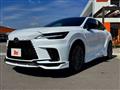 2025 Lexus RX