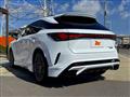 2025 Lexus RX