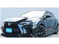 2025 Lexus RX