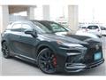 2025 Lexus RX