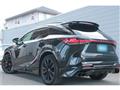 2025 Lexus RX