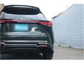 2025 Lexus RX