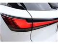 2025 Lexus RX
