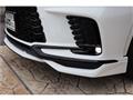 2025 Lexus RX