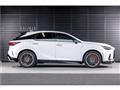 2025 Lexus RX