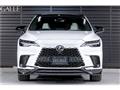 2025 Lexus RX