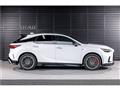 2025 Lexus RX