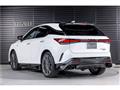 2025 Lexus RX