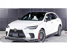 2025 Lexus RX