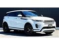 2019 Land Rover Range Rover Vogue