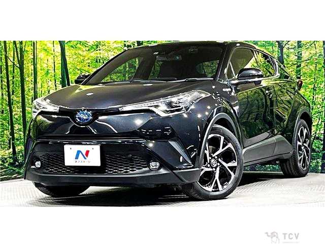 2019 Toyota C-HR