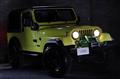 1992 Jeep Wrangler