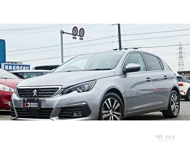 2019 Peugeot 308